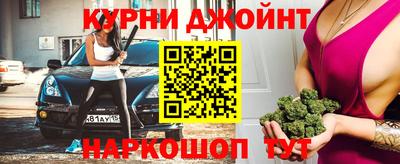 сатива Малгобек