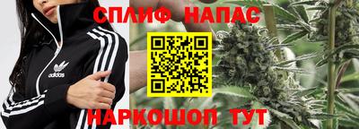 сатива Малгобек