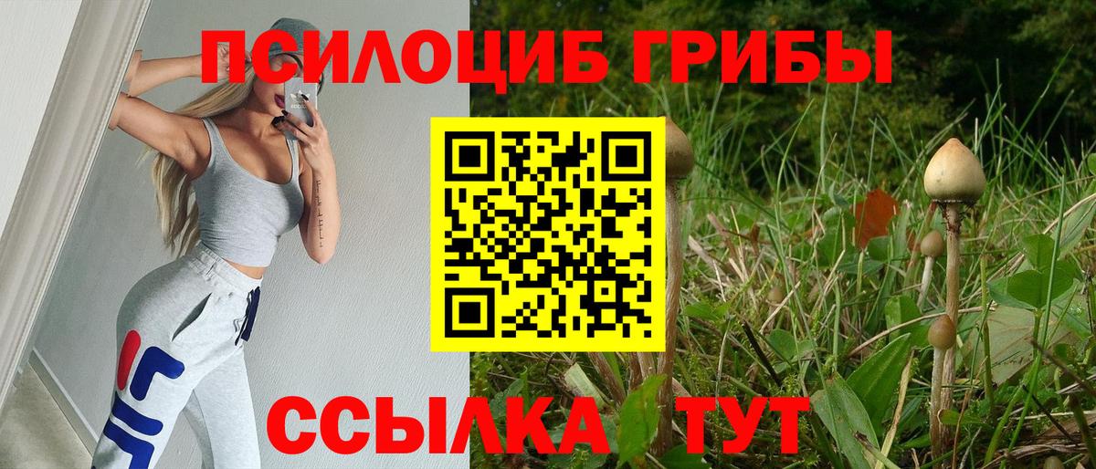 Верхняя Пышма  Псилоцибиновые грибы MAGIC MUSHROOMS  Вход с VPN 