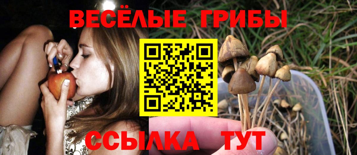 Псилоцибиновые грибы GOLDEN TEACHER Верхняя Пышма